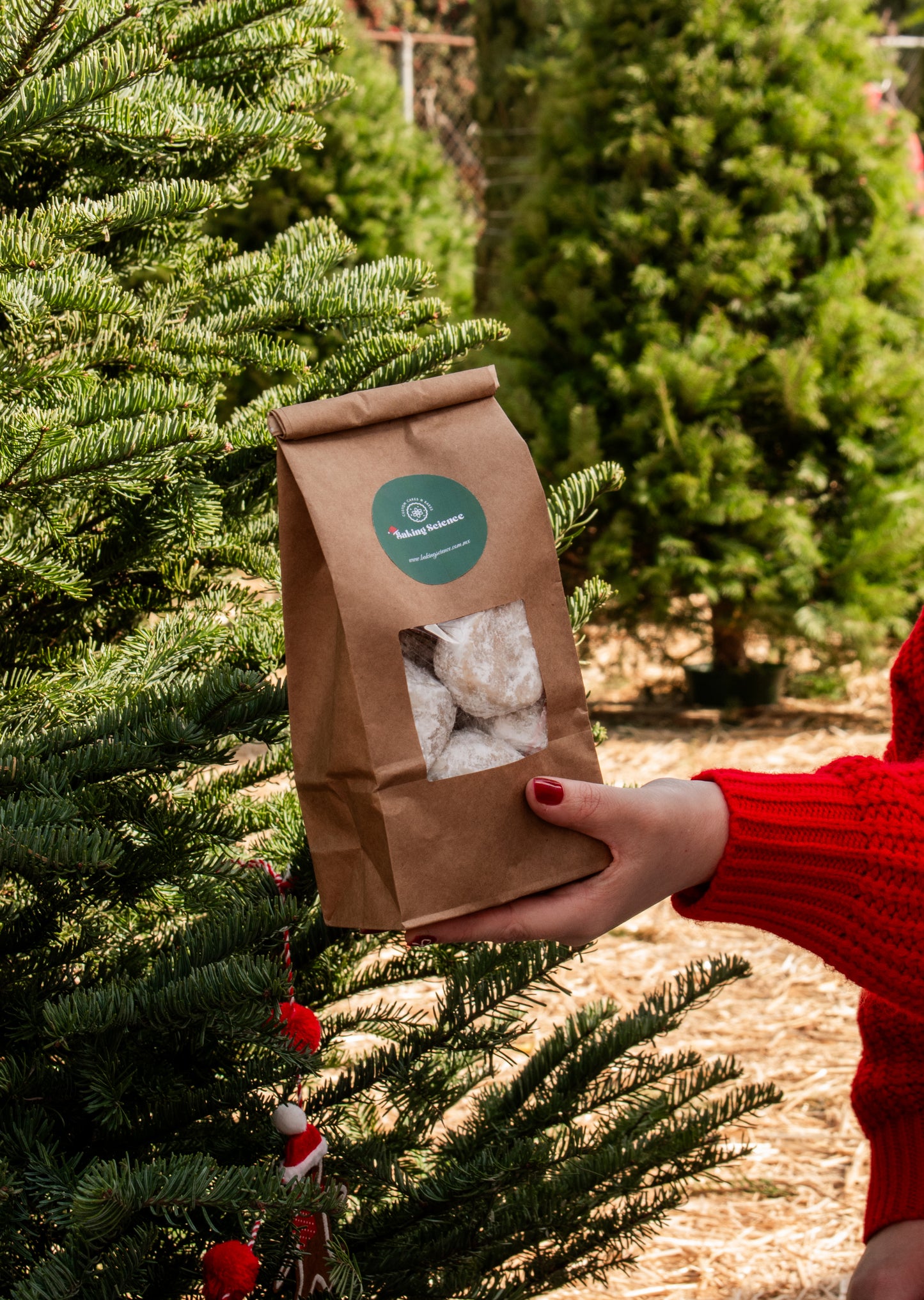 Pecan Snowball Cookie Bag